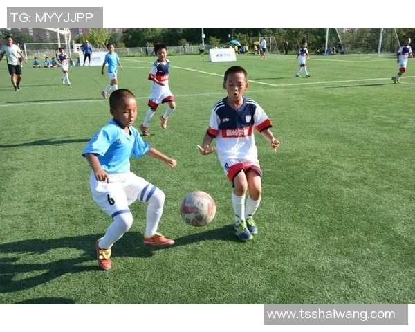 璀璨绿茵上的英雄赞歌足球明星的荣耀与梦想 璀璨绿茵上的英雄赞歌足球明星的荣耀与梦想