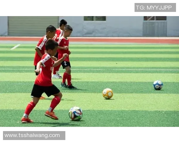 王敏独家分享足球心得与技巧助你提升球技的实用指南