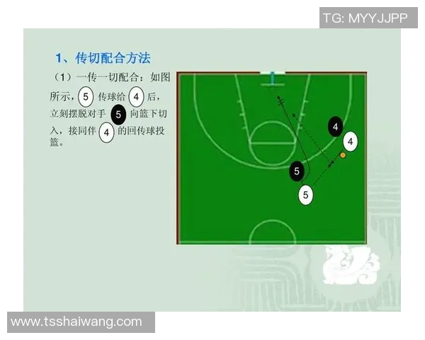 排球新手必看从零起步掌握完美配合技巧与战术解析